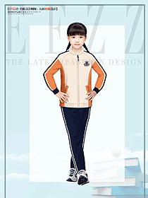 秋冬拉鏈衛(wèi)衣定制校服印logo企業(yè)學校運動會團體服